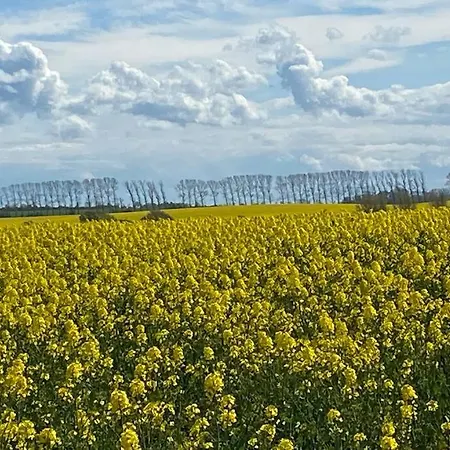 Seaview, Beach, Sunsets, Nature