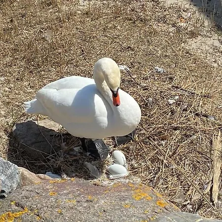 Apartamento Seaview, Beach, Sunsets, Nature Heiligenhafen