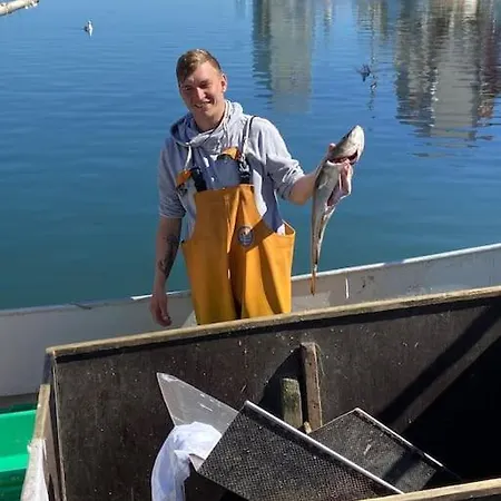 Seaview, Beach, Sunsets, Nature Apartamento *