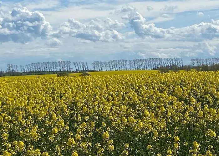 Seaview, Beach, Sunsets, Nature