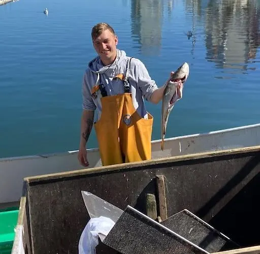 Seaview, Beach, Sunsets, Nature Lejlighed *