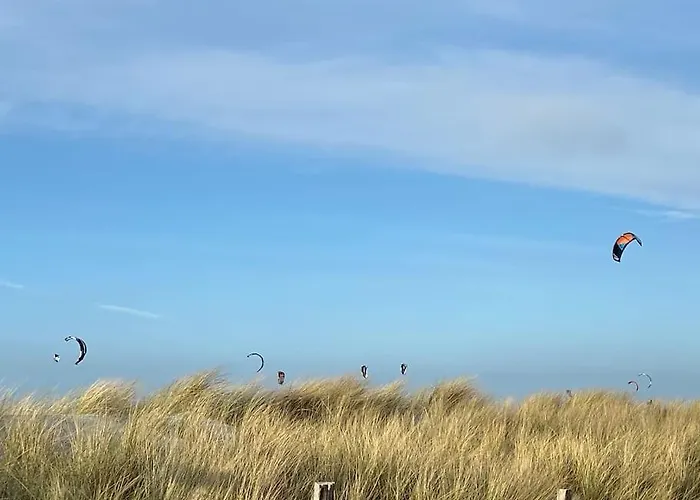 Seaview, Beach, Sunsets, Nature Lejlighed